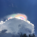 lunchboxrocks avatar