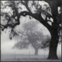 lune-de-minuit avatar