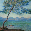 lunebaum-blog avatar