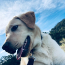 lunia-hates-life avatar