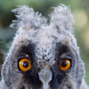 luontokuvia-haudan-takaa avatar