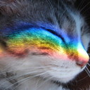 luovertheriver avatar