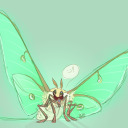 lupathemoth avatar
