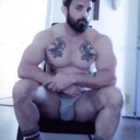 lupine-abdomen avatar