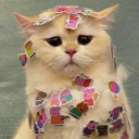 lupinusperennis-daydreams avatar