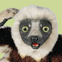 luridlemur avatar