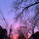 lurking-skeleton avatar