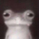 lurkingandlurking avatar