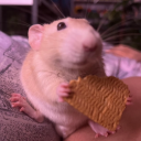 lurkinghomonid avatar