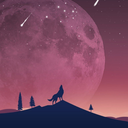 lushplacidity avatar