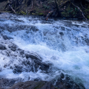 lust-and-pride avatar