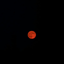 lustfordrake-blog avatar