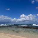 lustingforloving avatar