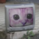 luvsunshine-fields avatar