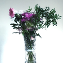 luxme2-blog-blog avatar