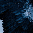 luxtherablover avatar