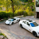 luxuriouslyfe avatar