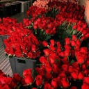 luxury-glitter-bling avatar