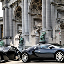 luxury-status avatar