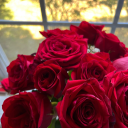 luxuryprincessss avatar