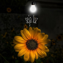 luzdeumgirasol avatar