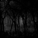 lxveyoursellf avatar