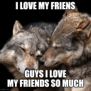 lycanthropicstims avatar