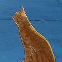 lycorisonthewall avatar