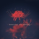 lycorisradiata0705-blog avatar