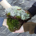 lydiamarie287 avatar