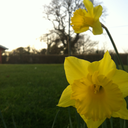 lydvicious123 avatar