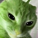 lynnthefeline avatar