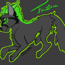 lynnwolf avatar