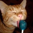 lyoha-has-a-second-account avatar