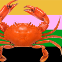 lyricalkarkat avatar