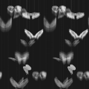 lyricallycommitted avatar