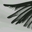 lyricsandotherthings avatar