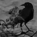 lyricsofravensong avatar