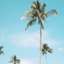 m-e-m-y-s-e-l-f-a-n-d-i avatar