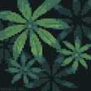 m-i-r-k-w-o-o-d avatar