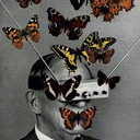 m-isanthropes avatar