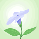 m-periwinkle avatar