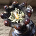 m0n0ph0bi6-blog avatar