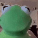 m0nstro-whale avatar