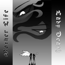 m0onlit-w1ster1a avatar