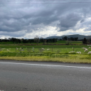 m8dy-in-da-80 avatar