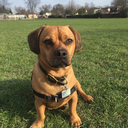 maaack10-blog avatar