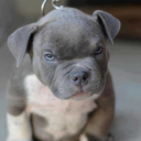 maanonthemoon avatar