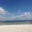 mac-n-cheese13 avatar