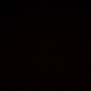 macabre-kitten-blog avatar